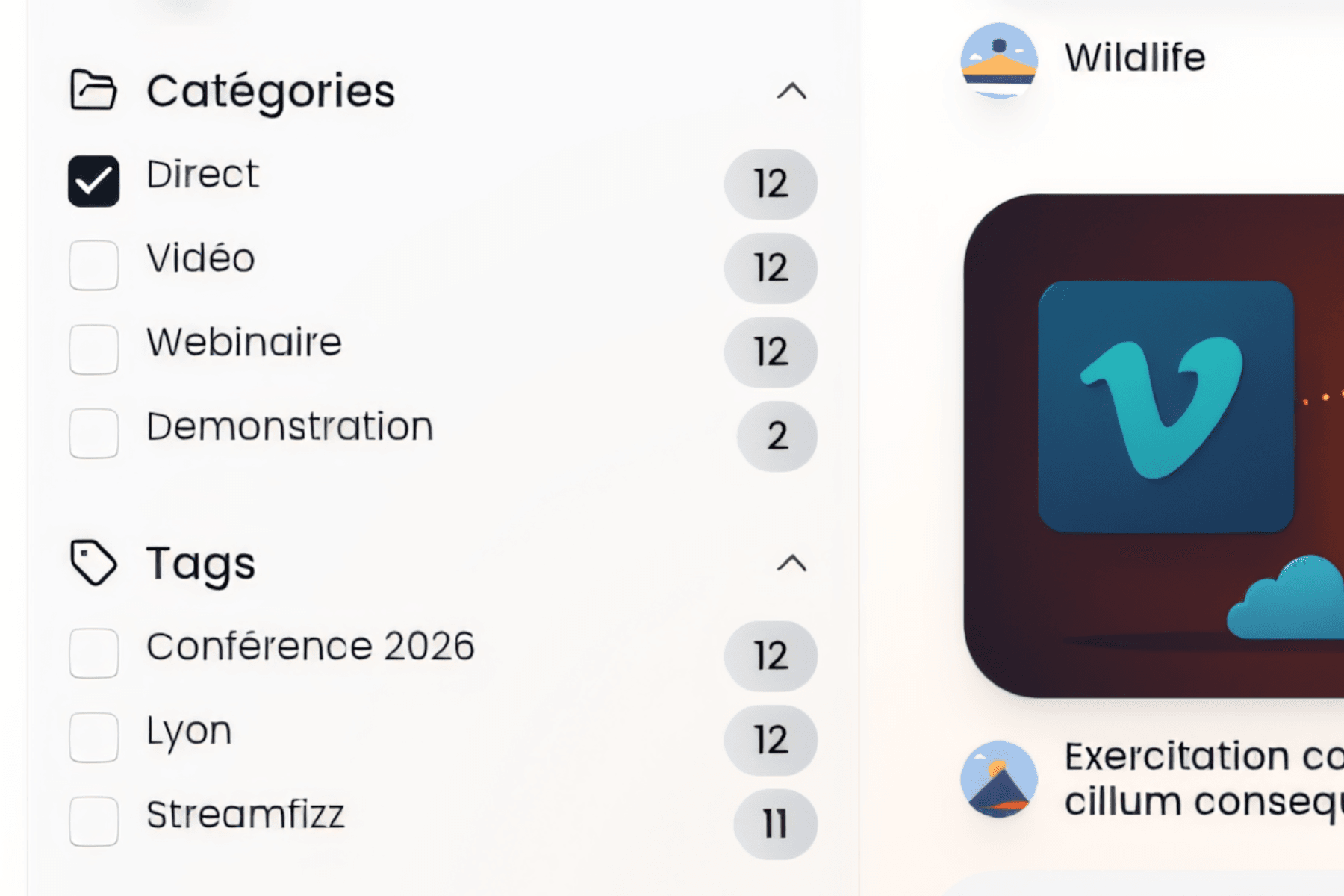 Contenus vidéo organisés par catégories et tags
