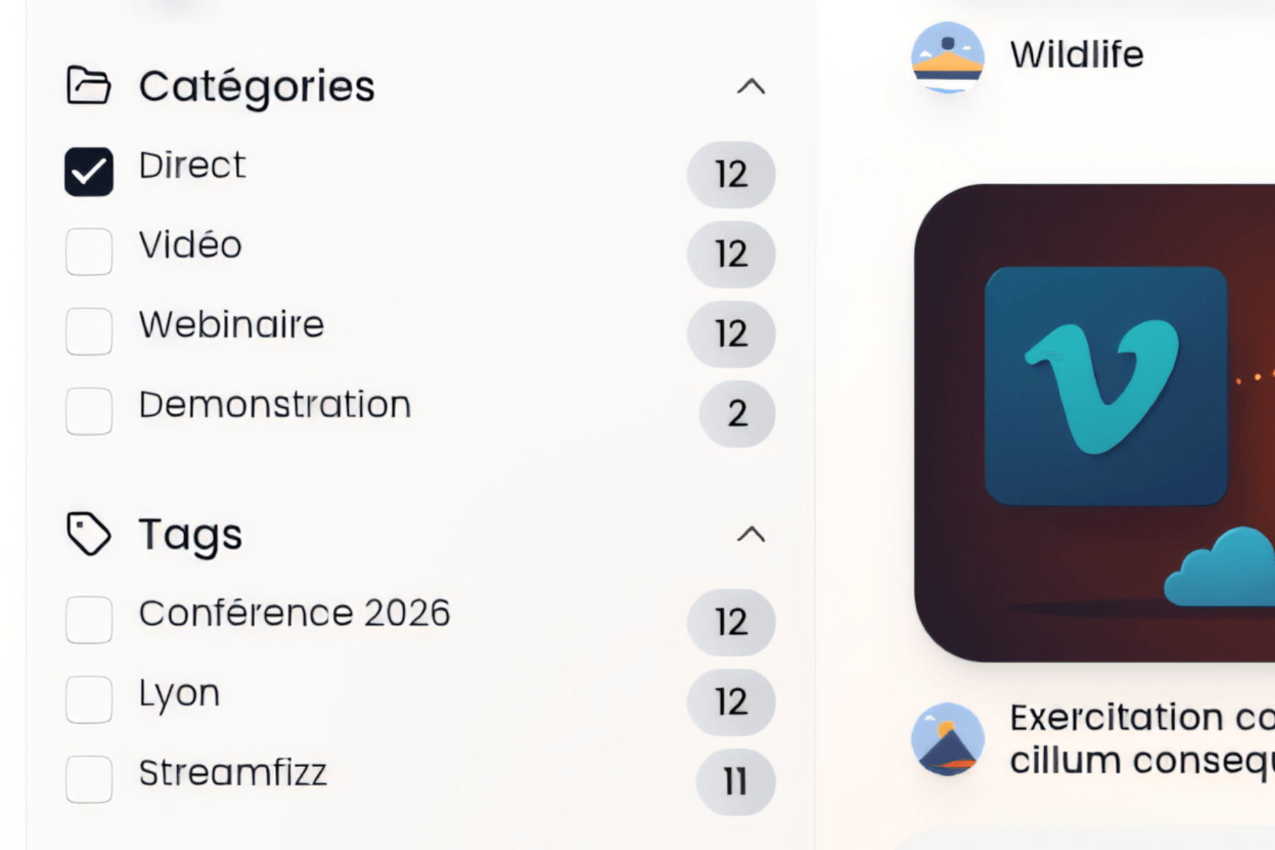 Organisation par catégories et tags