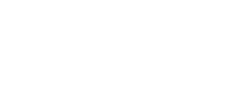 Logo INSA